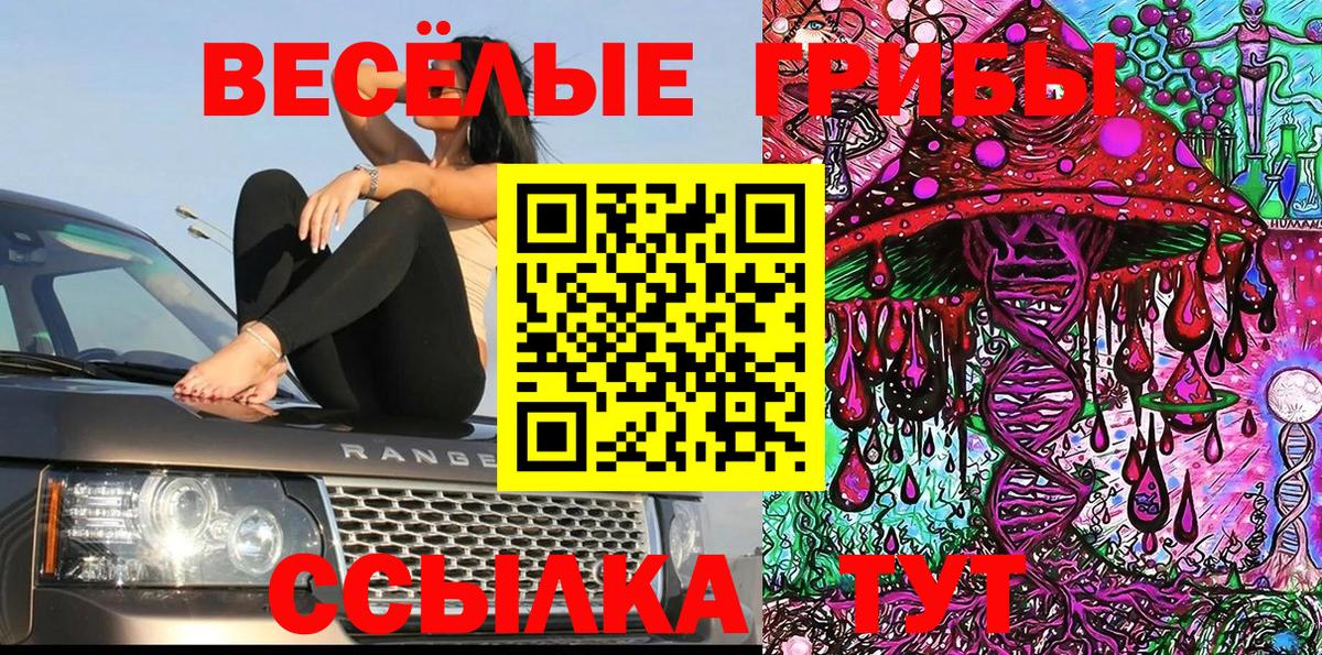 Галлюциногенные грибы Magic Shrooms Калач-на-Дону