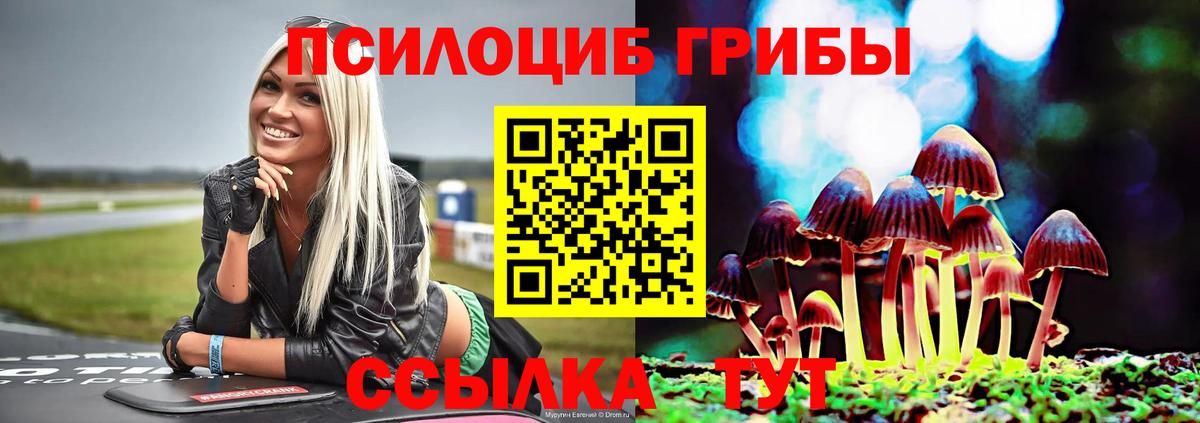 Галлюциногенные грибы Cubensis  Галлюциногенные грибы Cubensis  Вход с VPN  Калач-на-Дону 